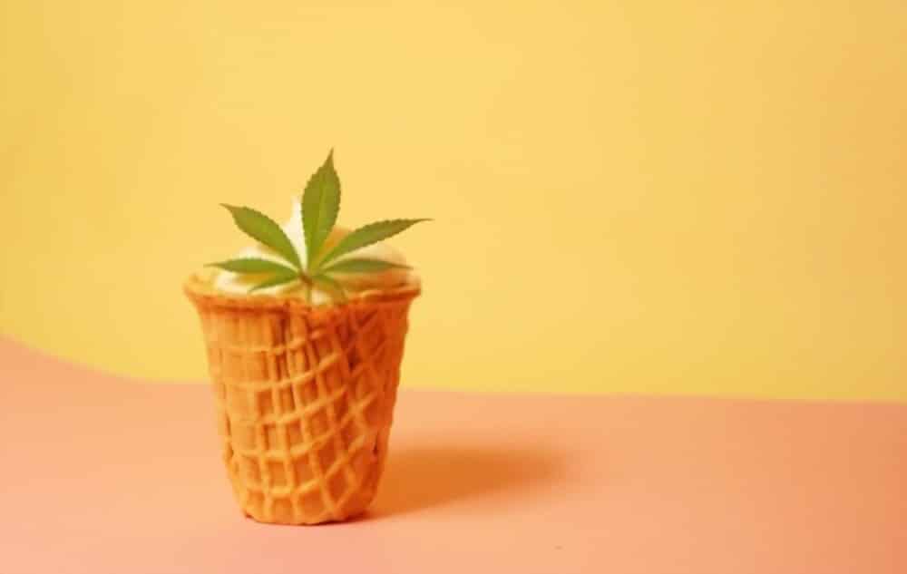 Best Edibles in Studio City
