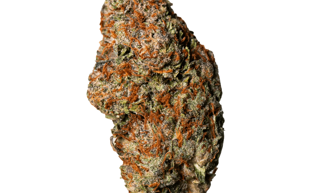 Apple Fritter Strain: A Guide